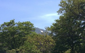aomori